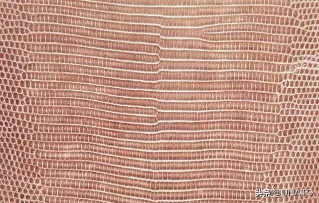 <html>
<head><title>502BadGateway</title></head>
<body>
<center><h1>502BadGateway</h1></center>
<hr><center>nginx</center>
</body>
</html>
<!--apaddingtodisableMSIEandChromefriendlyerrorpage-->
<!--apaddingtodisableMSIEandChromefriendlyerrorpage-->
<!--apaddingtodisableMSIEandChromefriendlyerrorpage-->
<!--apaddingtodisableMSIEandChromefriendlyerrorpage-->
<!--apaddingtodisableMSIEandChromefriendlyerrorpage-->
<!--apaddingtodisableMSIEandChromefriendlyerrorpage-->
