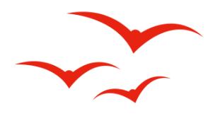 武山龙台油菜花节,湖口县武山油菜花节