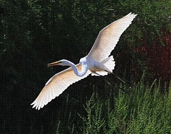 属猪的几月出生好真的准吗,网上说几月出生最好到底准不