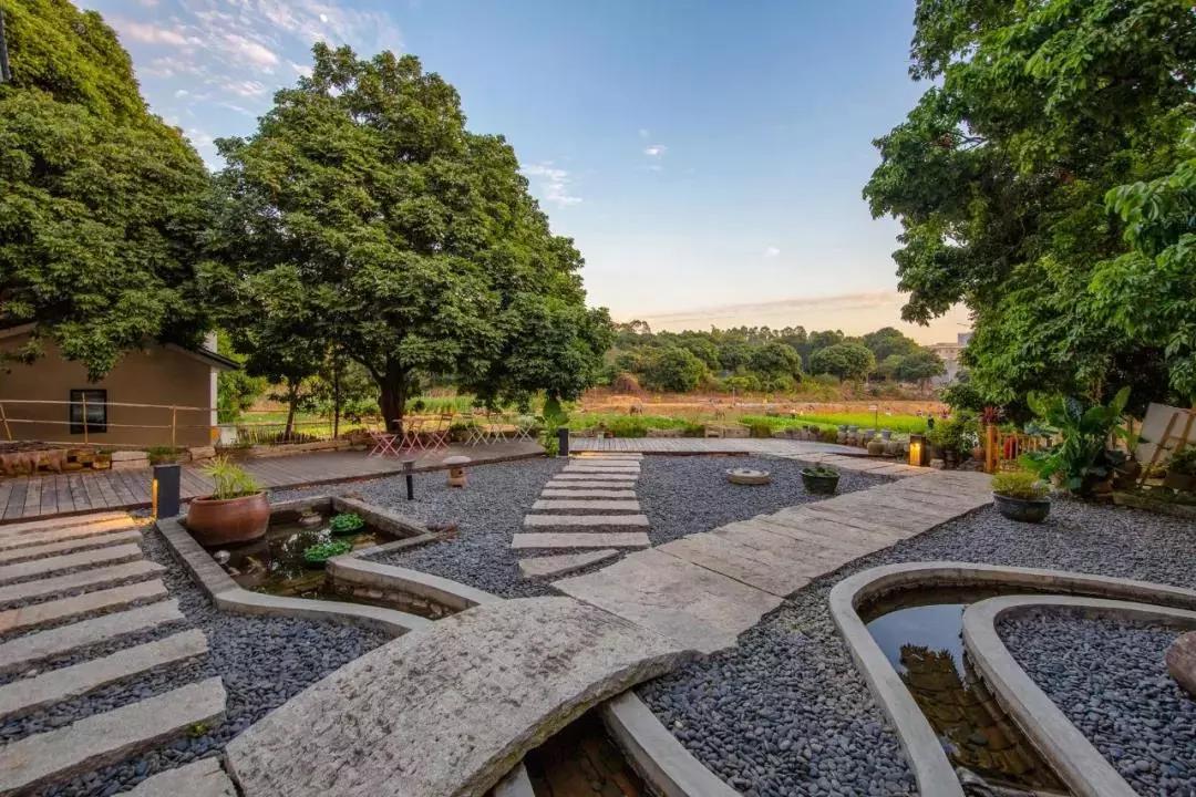 惠州秋长谷民宿推荐,惠州这家最有格调稻田民宿