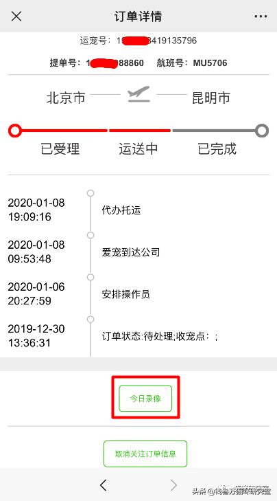 宠物托运全过程狗狗,宠物托运全过程国外