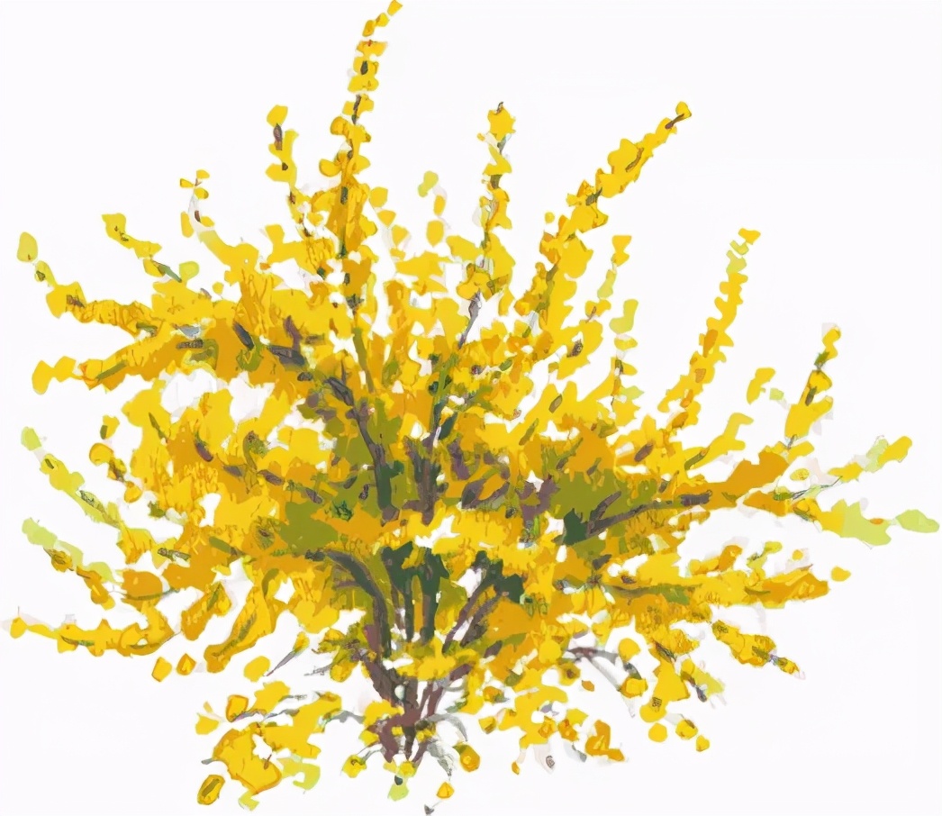 灌云有什么游玩的景点吗,灌云旅游景点推荐一日游