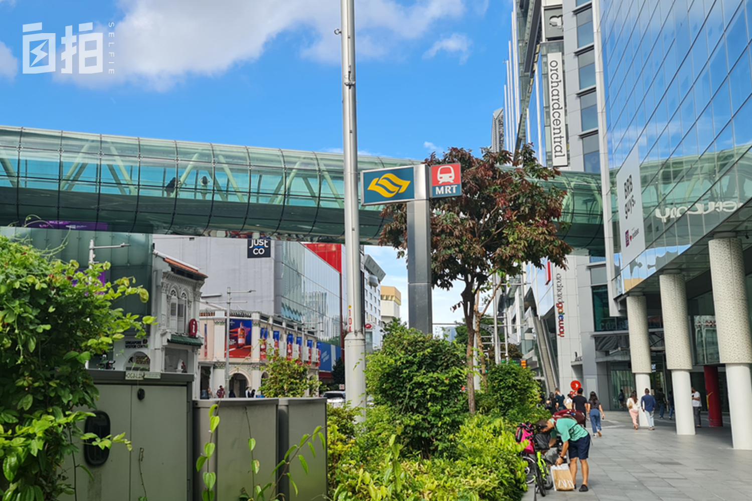 我，印度裔工人，在新加坡修船半辈子，没想到突然成了中国网红