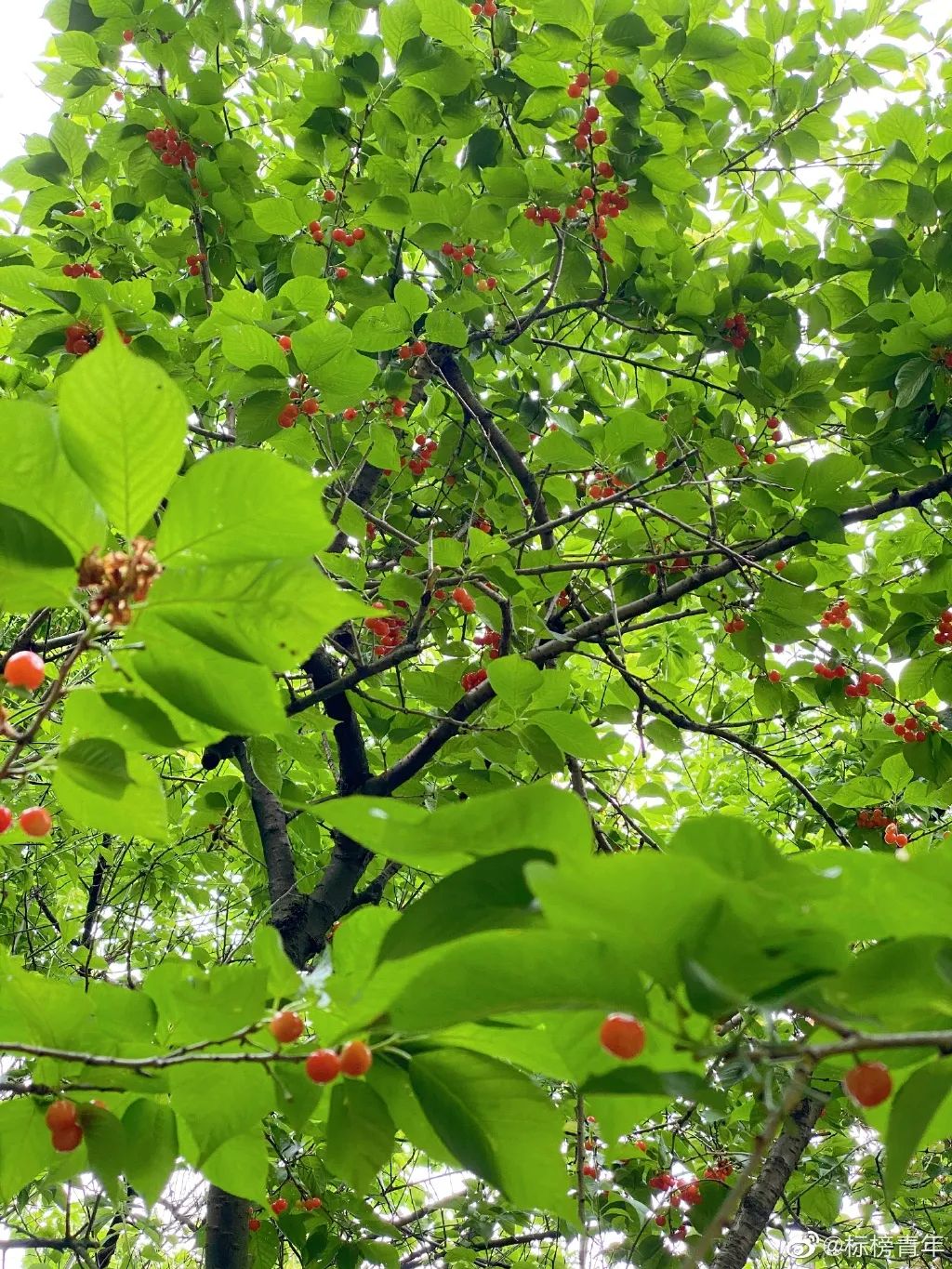 第1家国家4a级旅游区的大学博物馆,隐藏在各大校园里的有趣博物馆