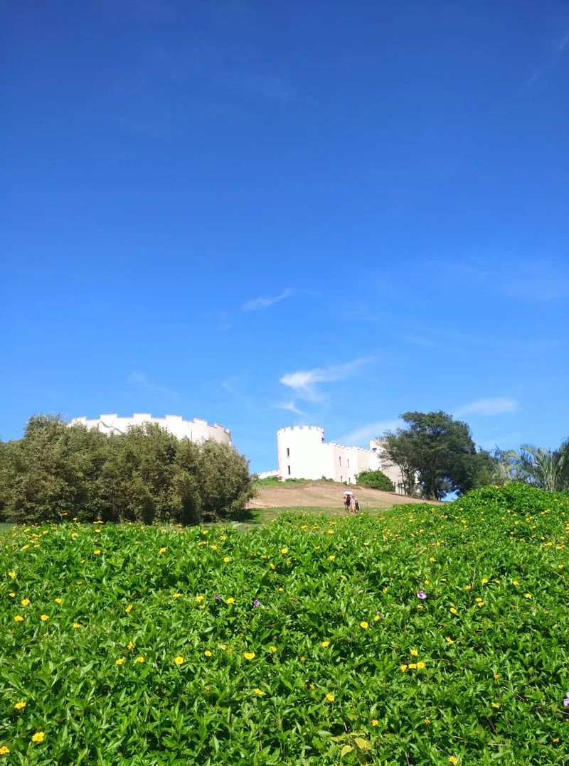 鐏北宀涙毚椋庨洦瑙嗛,鐏北宀涙毚椋庨洦