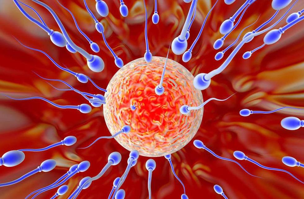 怀孕快速好孕技巧,快速怀孕的6个小窍门是什么