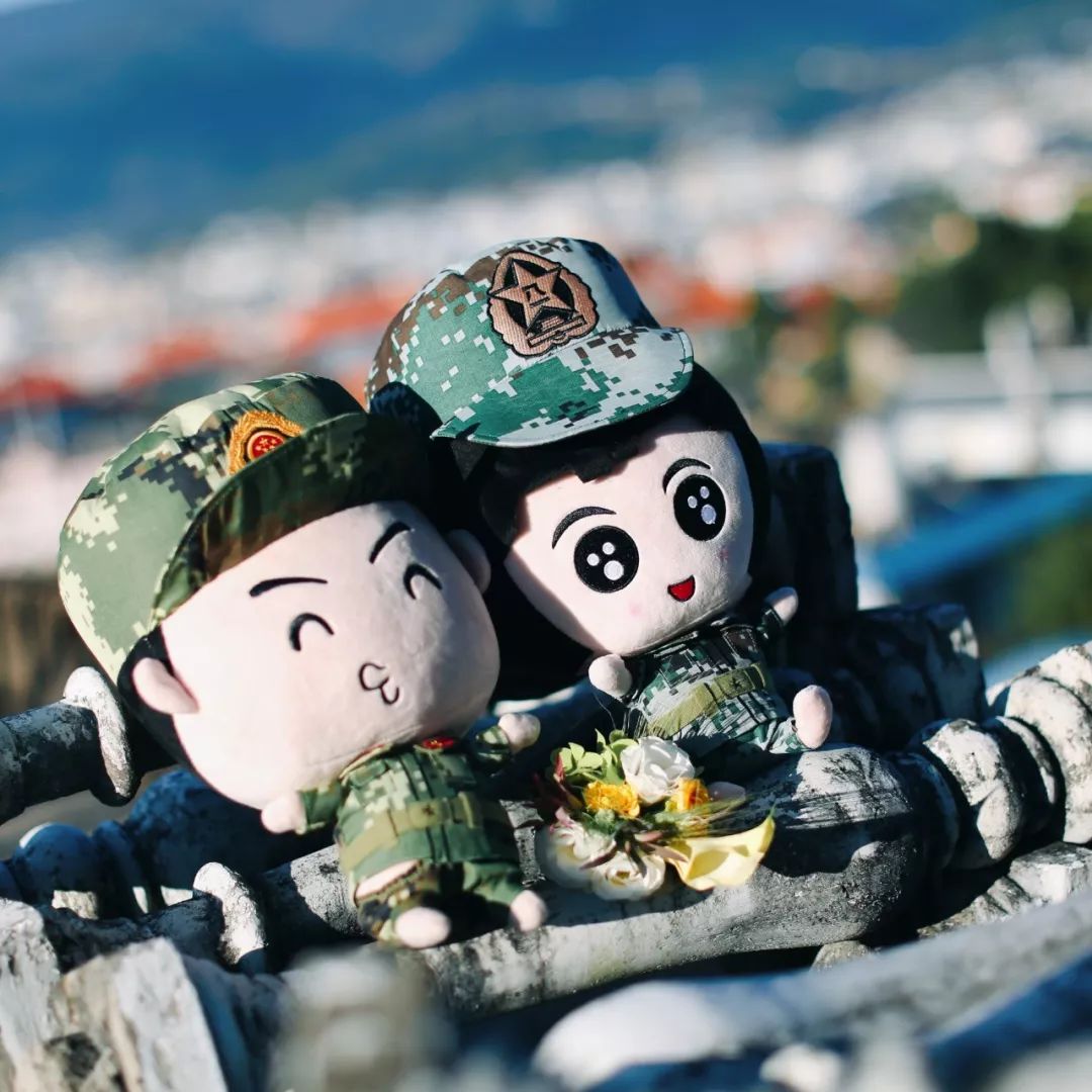 真正的军婚,军婚其实不是那么简单