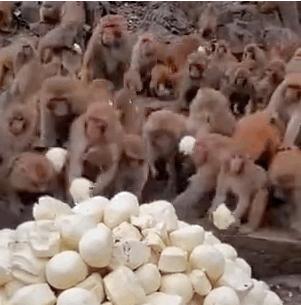 中国游客都不出门了，这谁顶得住？