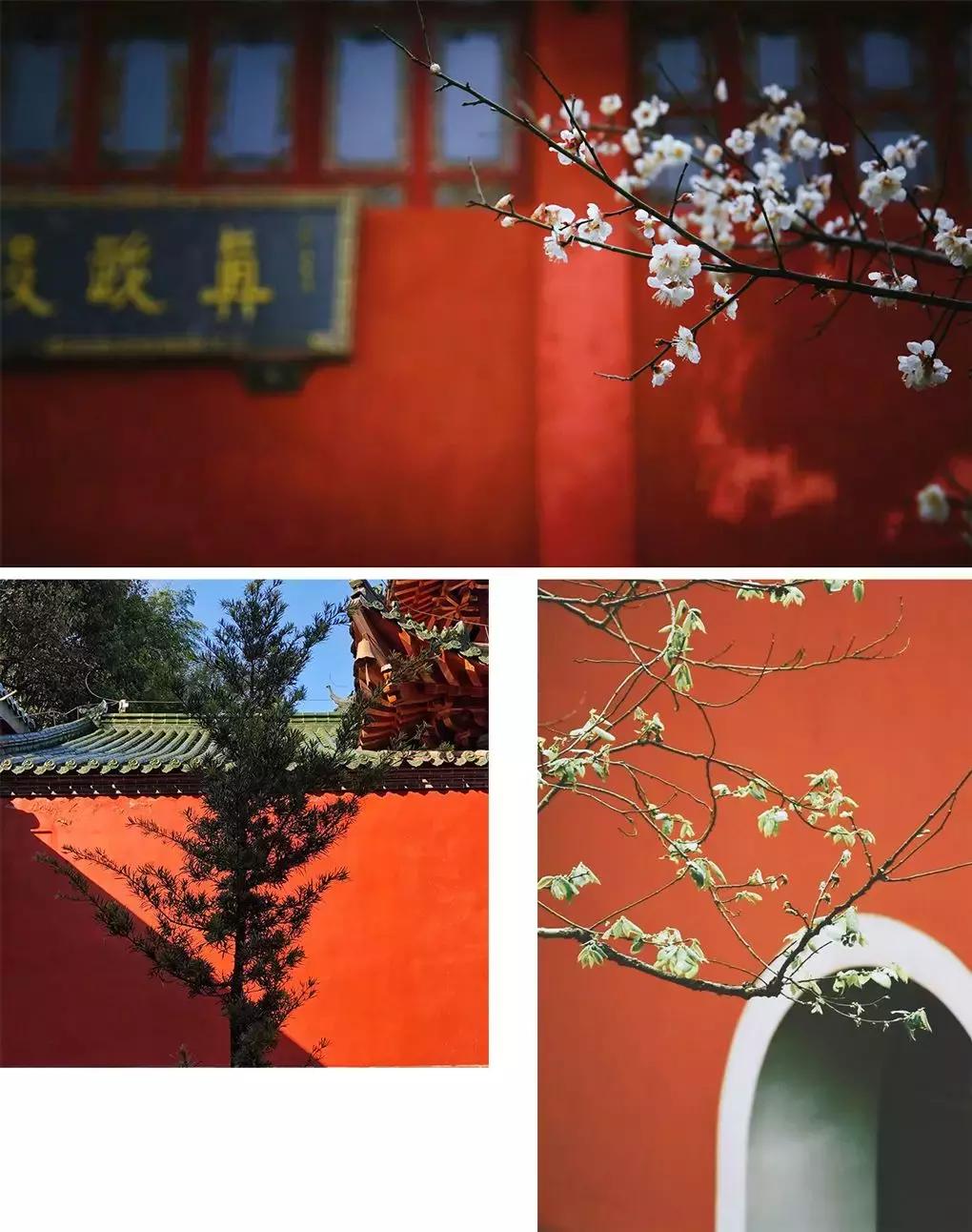 去黄山休宁登这座山！不去北京，也能拍出故宫范er！