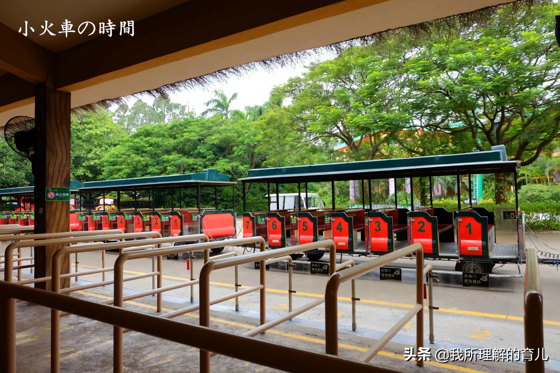 不带娃广州长隆野生动物园攻略,带孩子去广州长隆野生动物园攻略