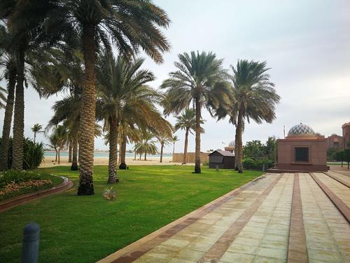 你不知道的10条国家冷知识——阿布扎比（迪拜的老大哥！）