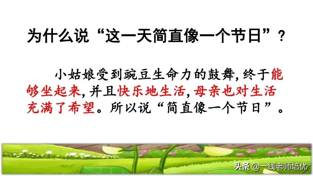 四年级上册豆荚里的五粒豆笔记,一个豆荚里的五粒豆四年级课文