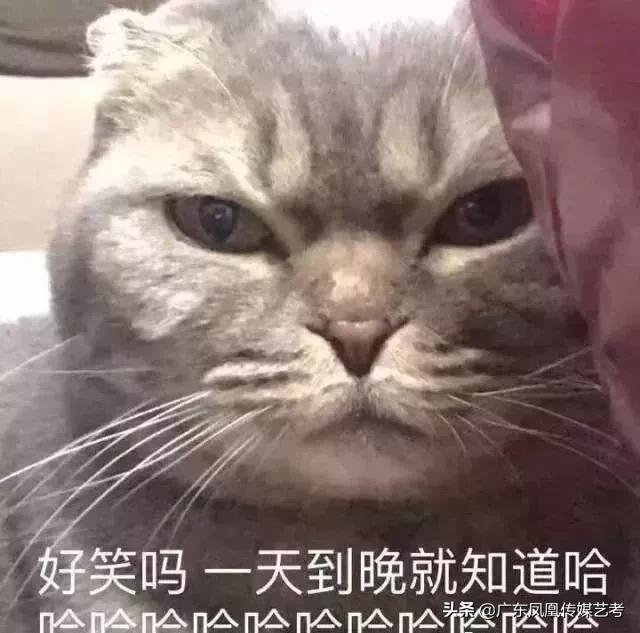 传媒艺考才艺展示舞蹈,艺考好学的非语言类才艺展示