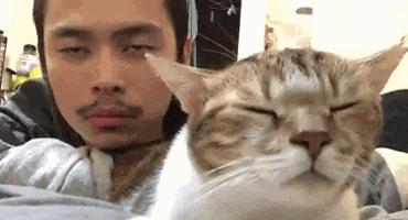 猫有一点点流血是来大姨妈,猫子宫流血是怎么回事