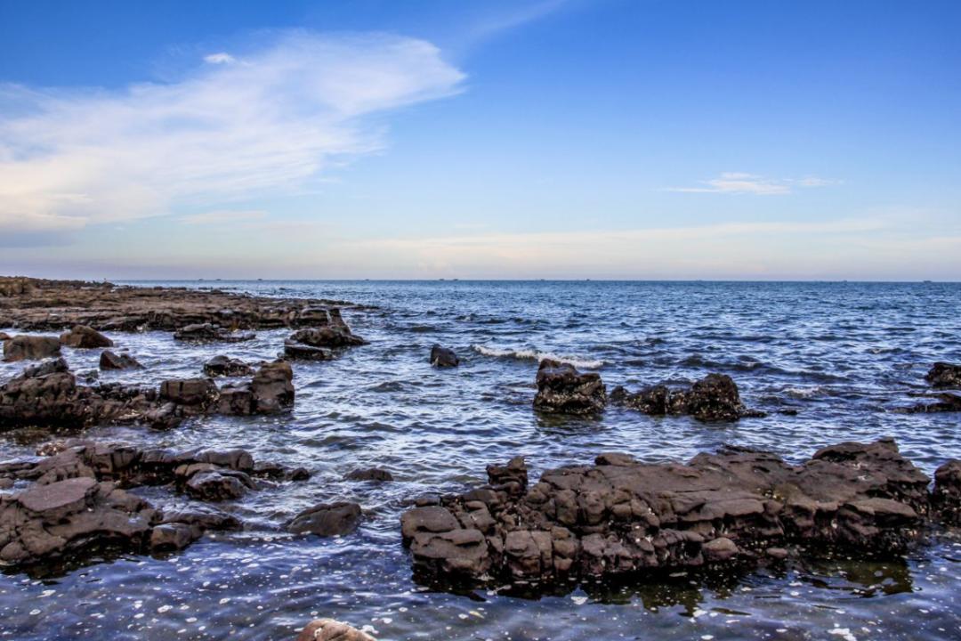 沙爽的活着写作背景,沙爽作品