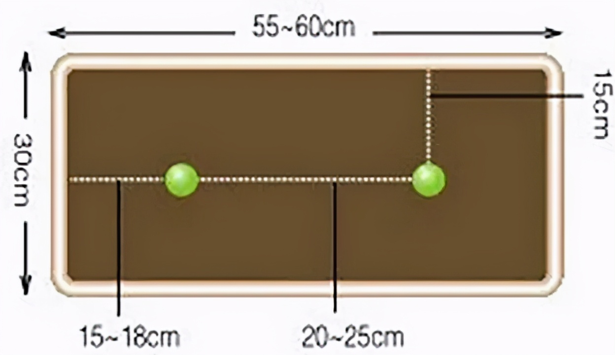 苦瓜开花坐果长不大怎么回事,苦瓜为什么老是开雄花不开雌花