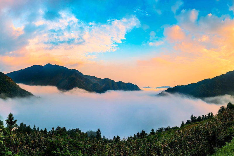 梵净山红云金顶往下看,贵州铜仁梵净山老金顶