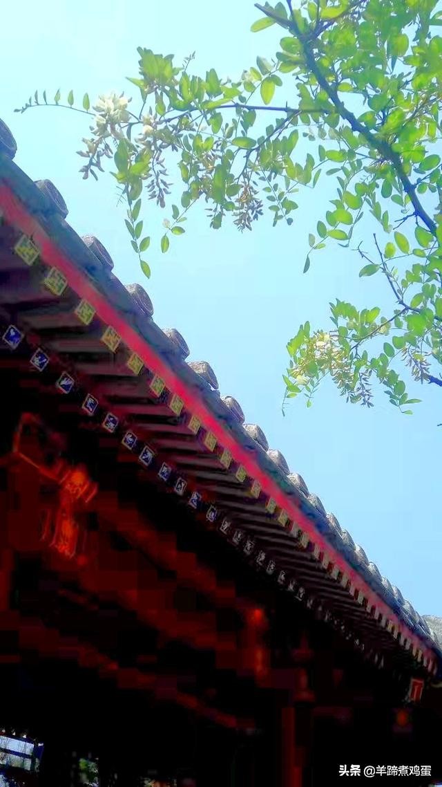 游玩北京香山公园之行,7月的北京香山公园图片