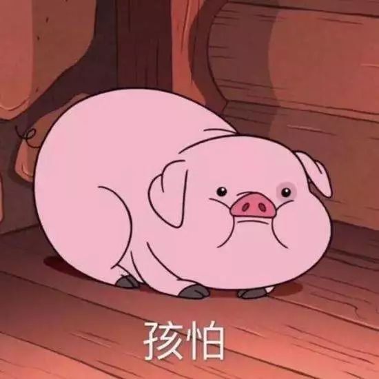 最好的性教育,最好的性教育动画片