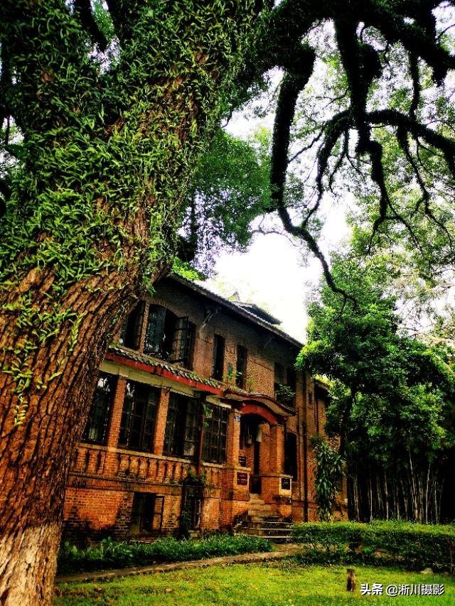 中国最美丽的校园照片,中国最美丽的校园中山大学南校区