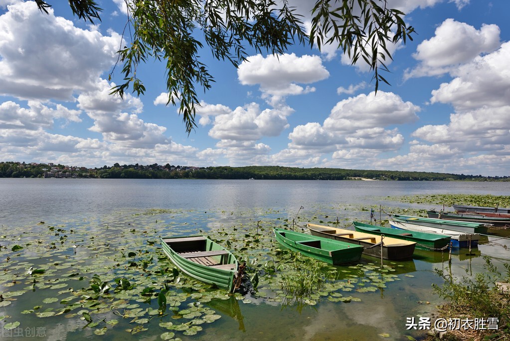 苏庠诗句,苏庠的临江仙的翻译