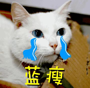 南京美丽屋最新事件,南京美丽屋事件