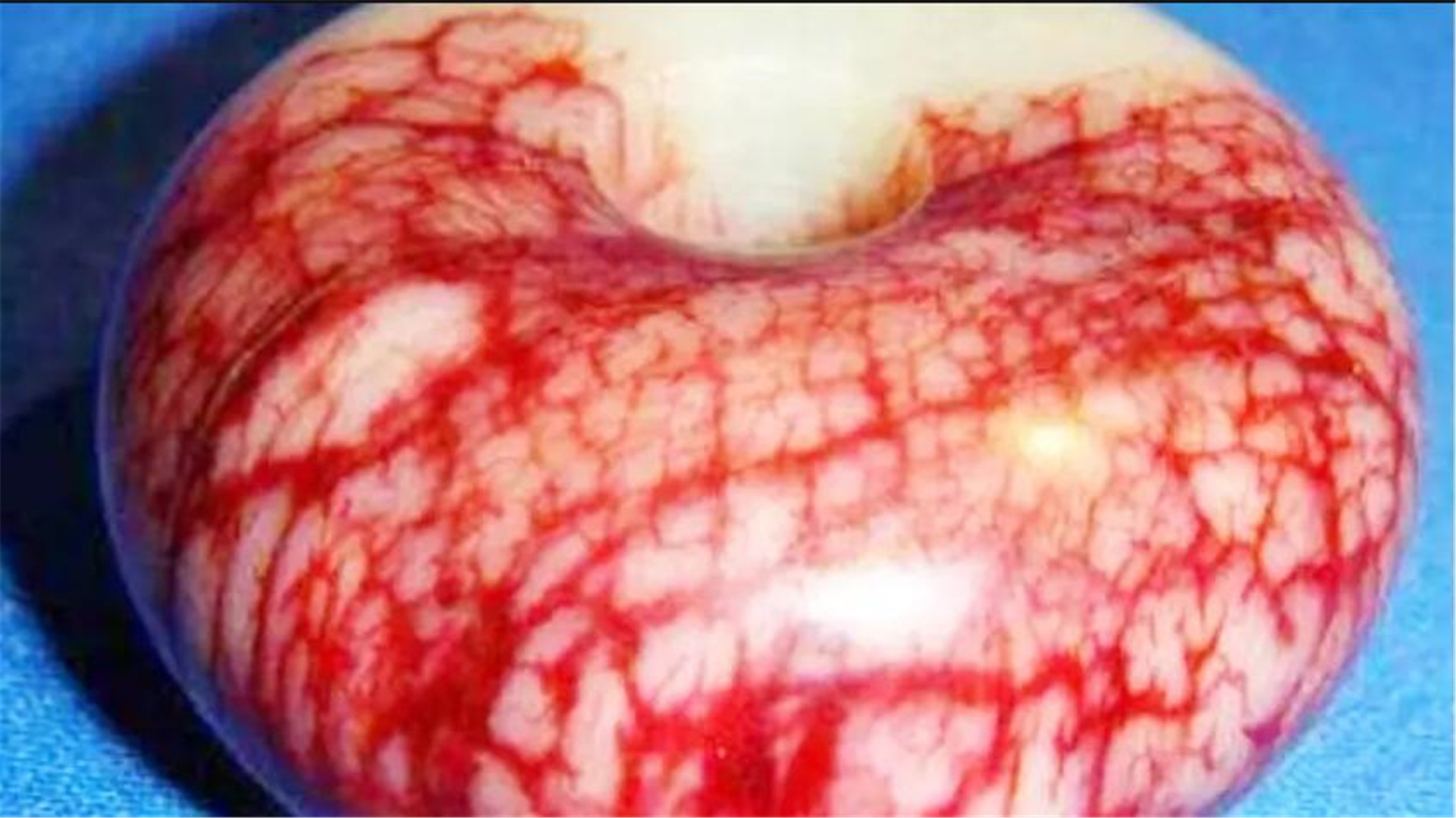 文物贩子把玉塞到羊身上,文物贩子把玉石塞到活羊身上