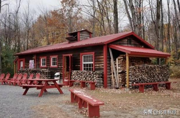 加拿大枫糖的前世今生