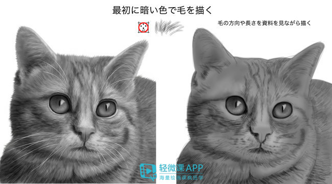 动物的脚印可以怎么画成小动物,小动物和动物妈妈温暖的简笔画