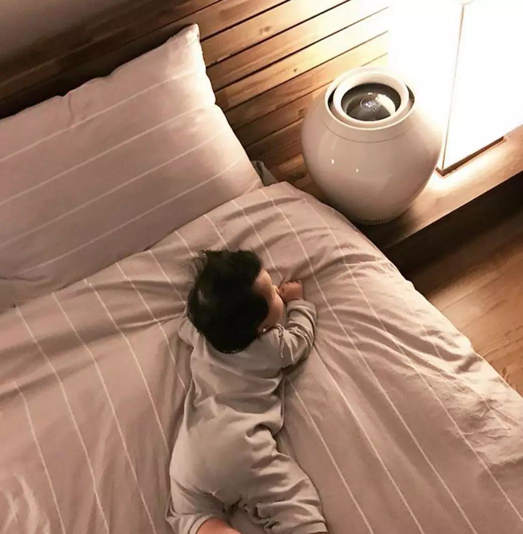 日本巴慕达加湿器,日本巴慕达空气净化器