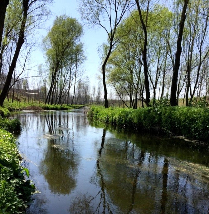 “双洎河”“溱水”及“洧水”与黄帝挑选接班人的传说