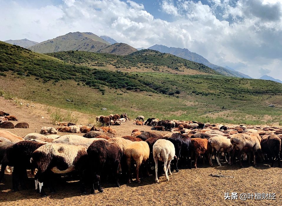 有野心不可怕可怕的是能力赶不上野心！银亿这些年到底怎么了？
