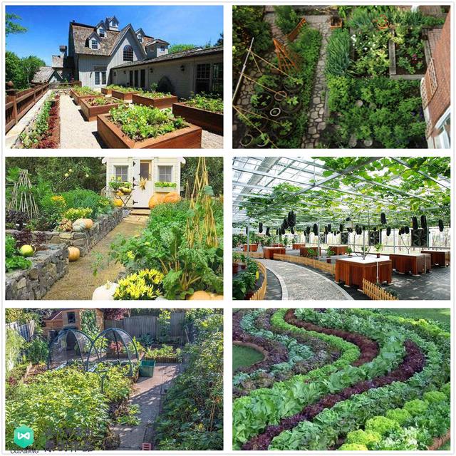 庭院菜园怎么设计最好看？264张案例图+布置详解！简直太实用了