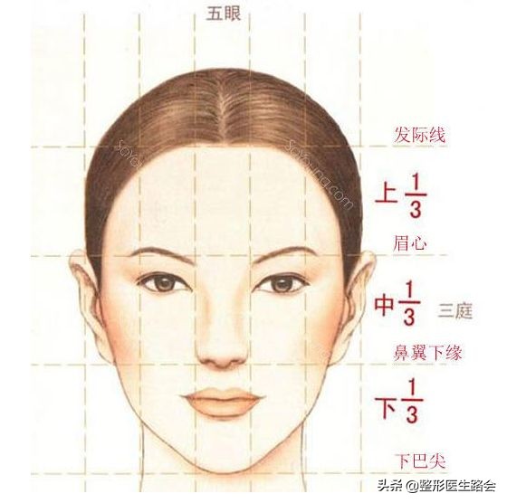 自己的脸型到底是什么脸型,关于脸型和眉形