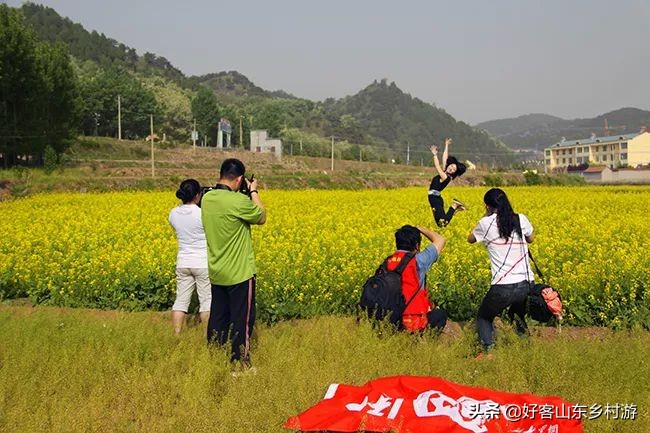 济南春季赏花自驾,济南踏青赏花新模式