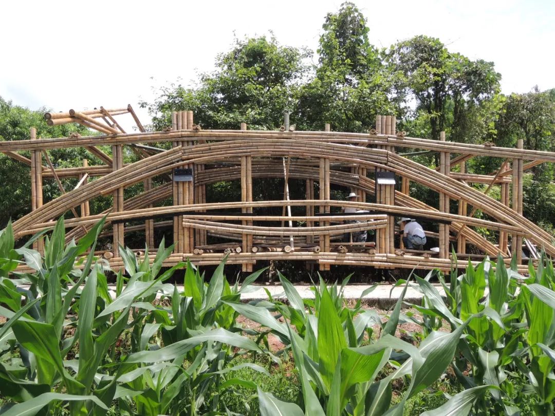 85后香港博士，为重庆人修了一座桥，上万村民请神仙加持