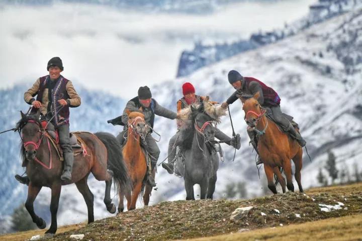 美丽伊犁简介,美丽新疆伊犁