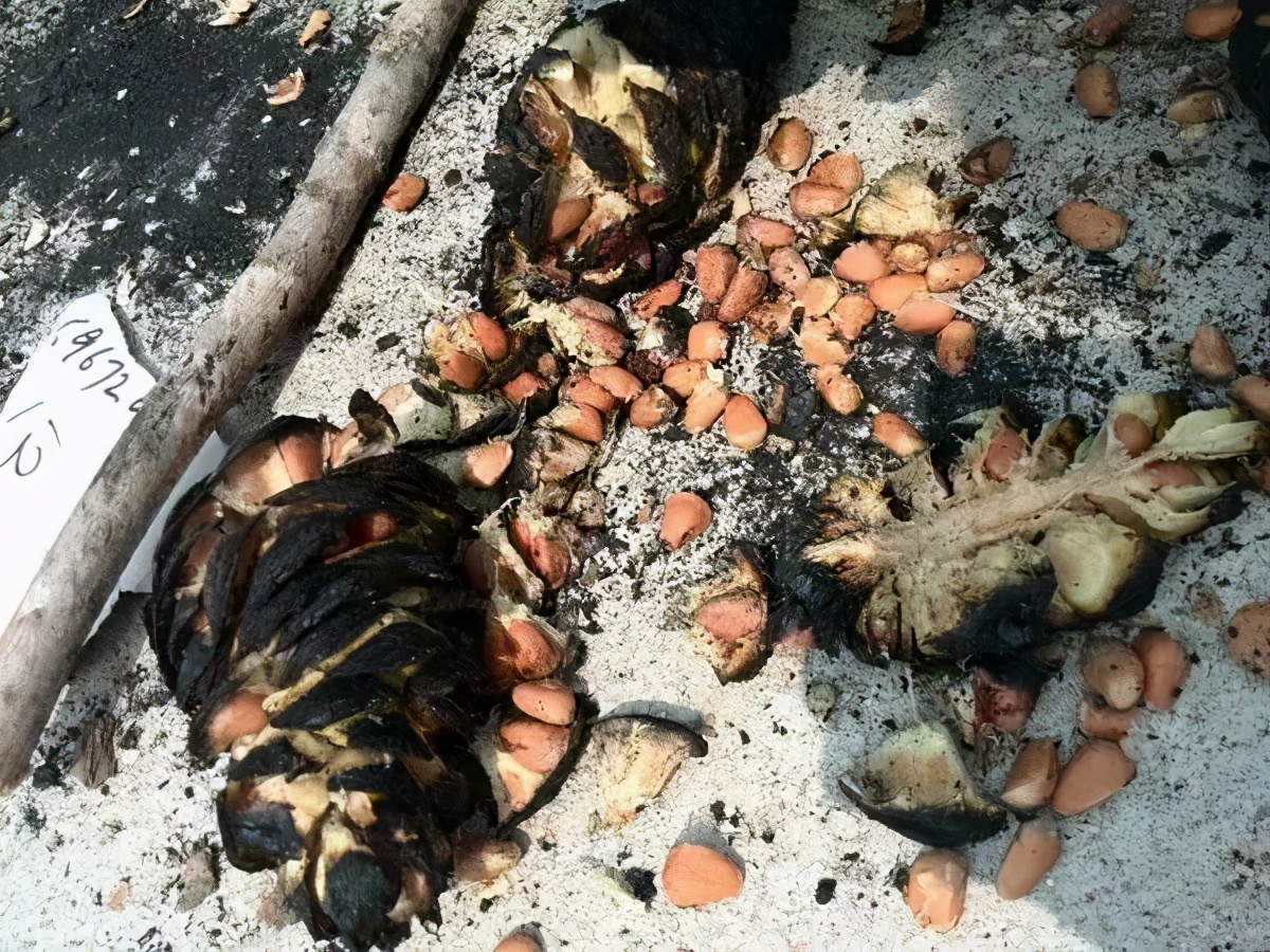 记录60后70后的童年生活,80后的童年回忆真实记录