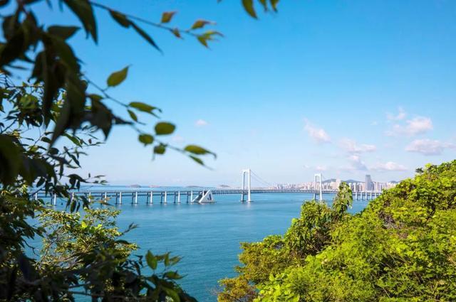 突然就想去旅游了,忽然间就想去厦门了