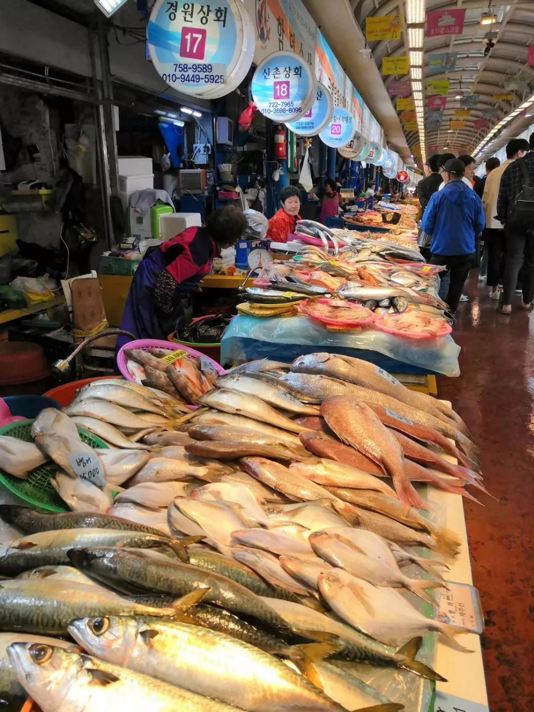 心血来潮去爬山,想去济州岛看海