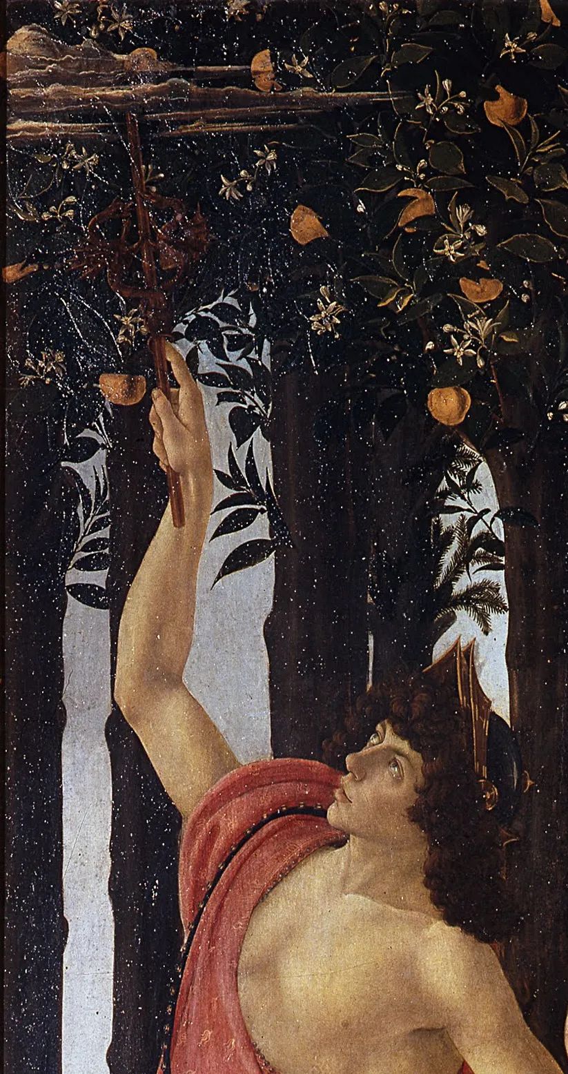 为什么是钻石恒久远,钻石恒久远一颗永流传是真的假的