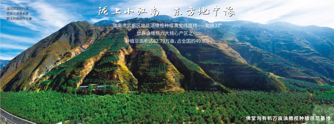 中国国际食用油产业博览会金奖,中国国际高端食用油金奖