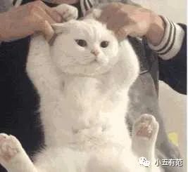 13个能赚钱的副业干货分享,32个副业赚钱攻略