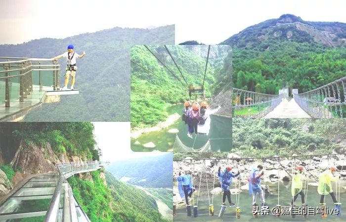 福鼎一日游学生攻略,福鼎两日自由行攻略