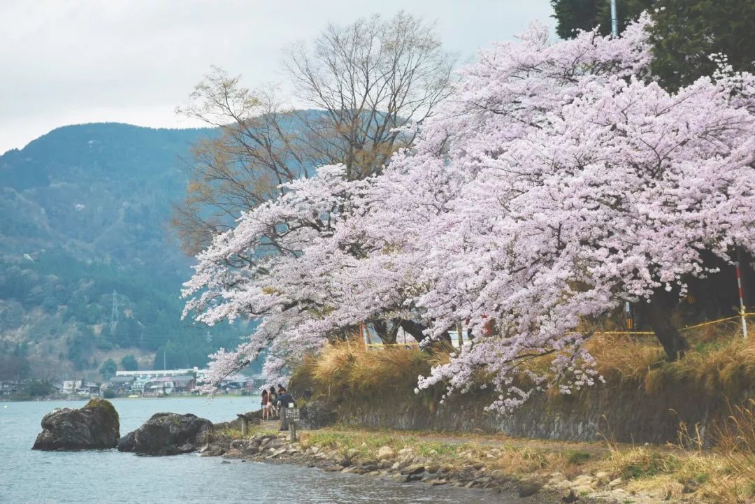 大阪两天攻略,最新日本大阪攻略