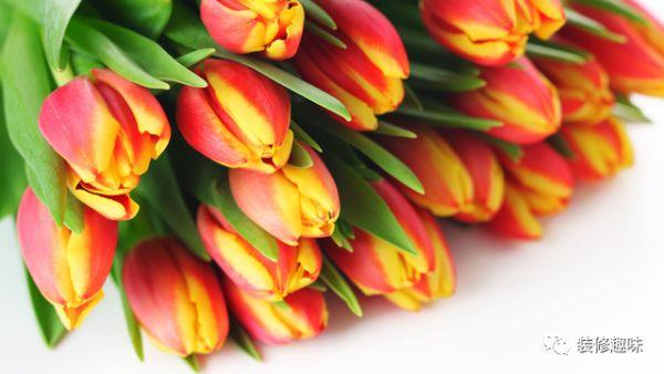 干劲满满的励志句子打了鸡血,打满鸡血的励志短语