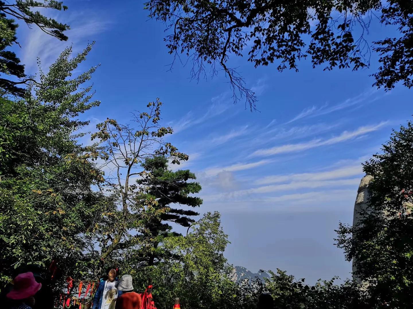 对镜拍九宫格构图,九宫格构图拍婚礼