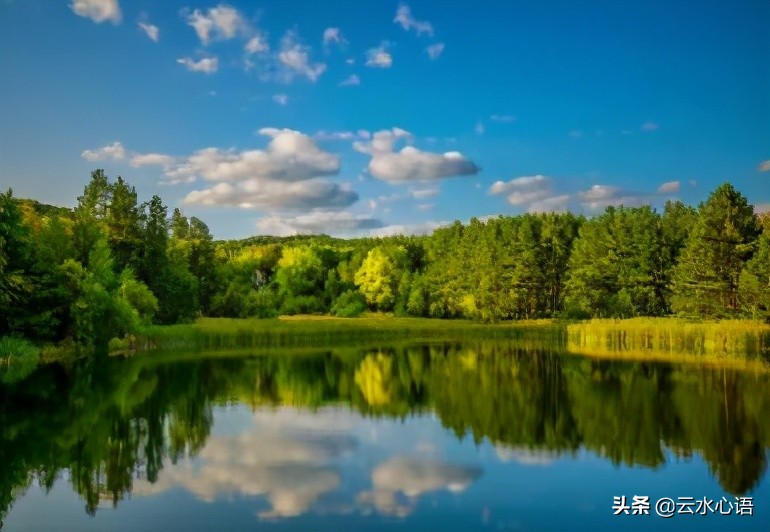 白居易经典七律古诗十首,白居易10首经典诗词七言绝句