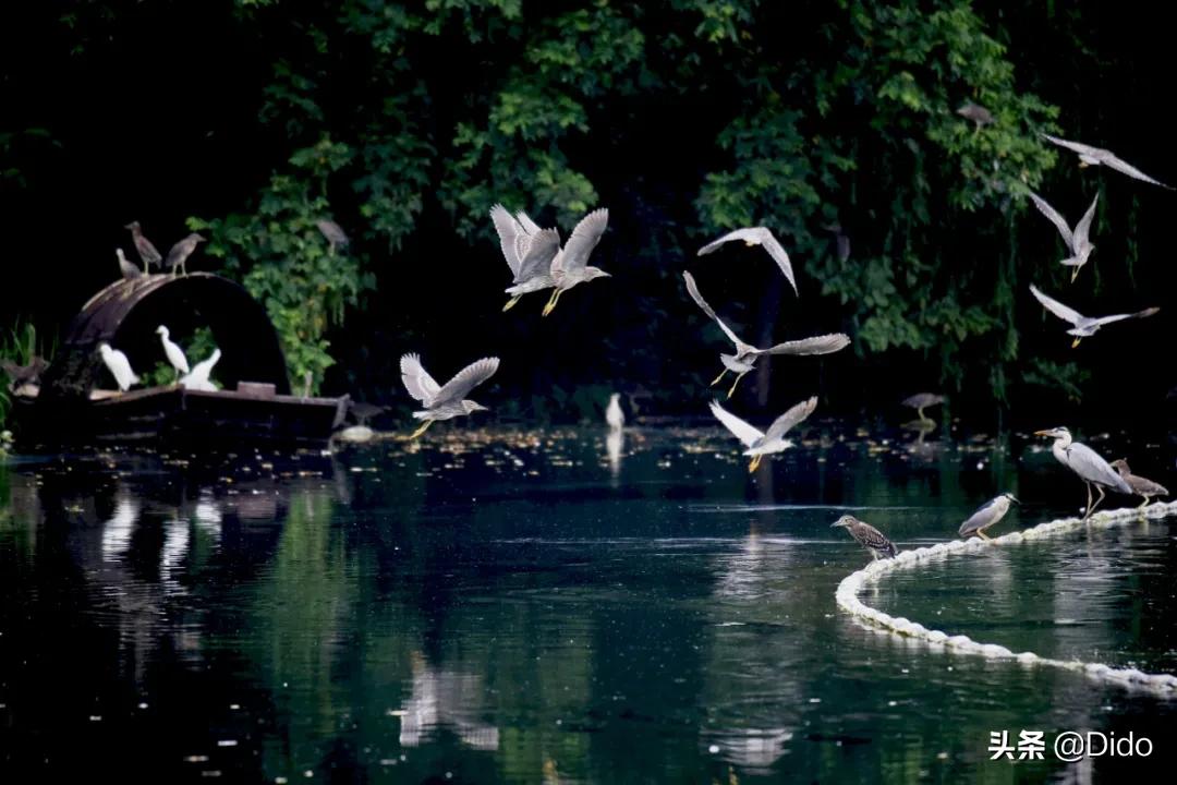 成都top100小区,成都最美top10图书馆