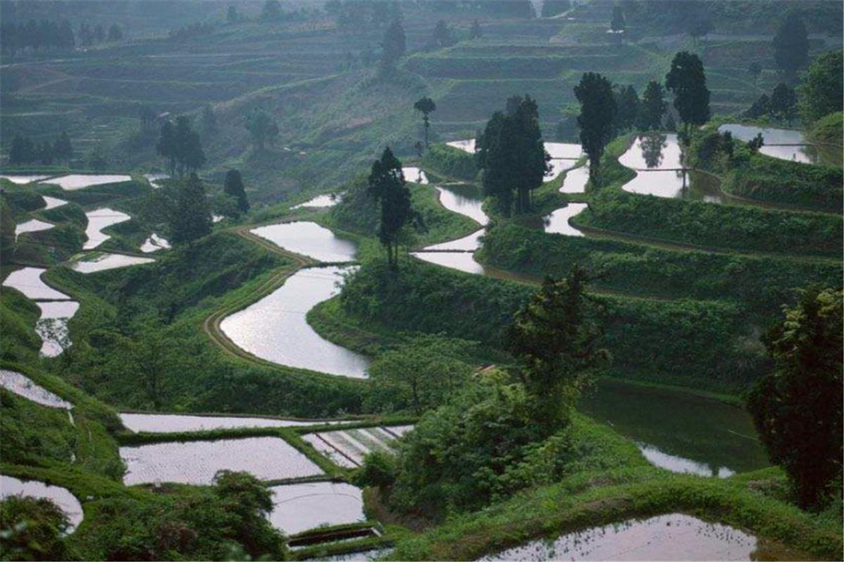 早不说梦晚不梳头何讲究,晚不梳头早不说梦是怎么回事